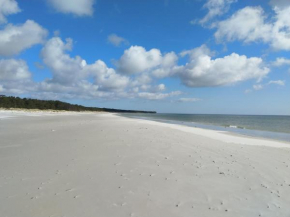 Gemütliche Wohnung in Strandnähe in Nexø
